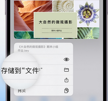 丹徒apple维修中心分享iPhone文件应用中存储和找到下载文件