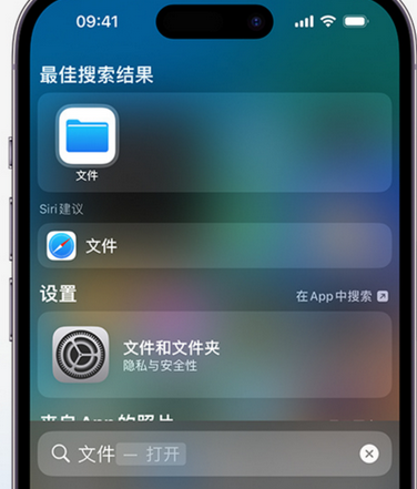 丹徒apple维修中心分享iPhone文件应用中存储和找到下载文件 