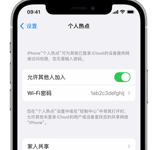 丹徒apple服务站点分享iPhone上个人热点丢失了怎么办