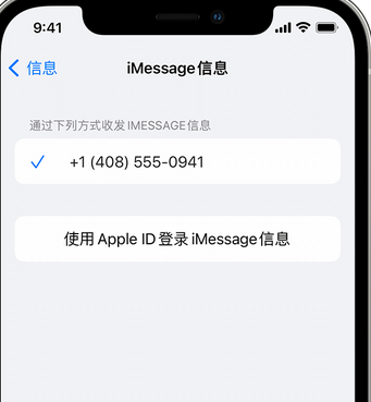 丹徒apple维修iPhone上无法正常发送iMessage信息 