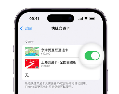 丹徒apple维修点分享iPhone上更换Apple Pay快捷交通卡手绘卡面 