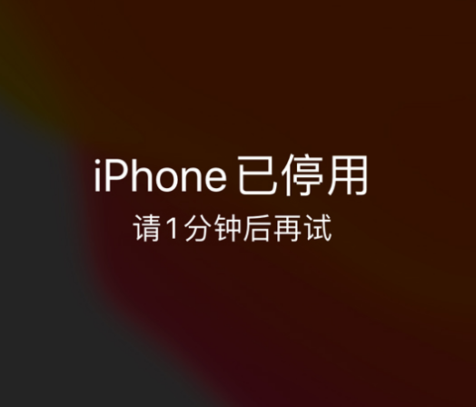 丹徒苹果手机维修分享:iPhone 显示“不可用”或“已停用”怎么办？还能保留数据吗？ 