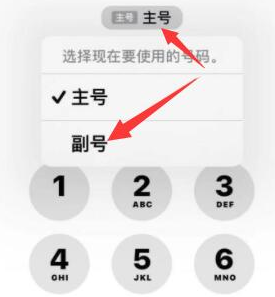 丹徒苹果14维修店分享iPhone 14 Pro Max使用副卡打电话的方法 