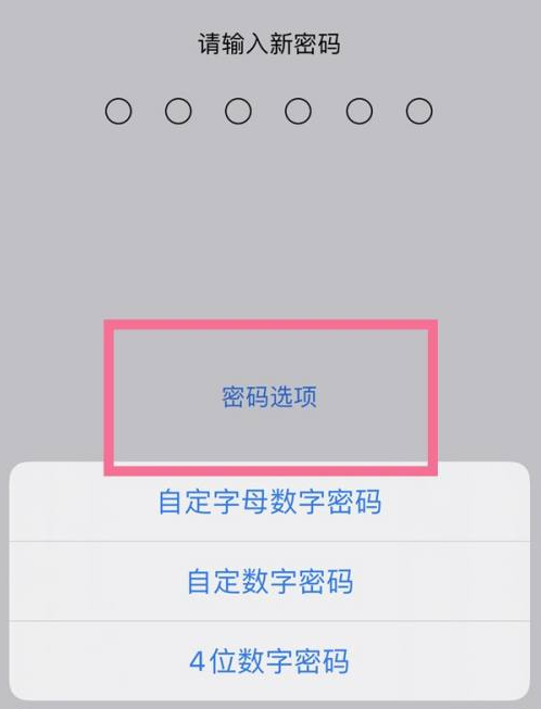 丹徒苹果14维修分享iPhone 14plus设置密码的方法 