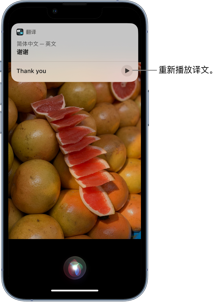 丹徒苹果14维修分享 iPhone 14 机型中使用 Siri：了解 Siri 能帮你做什么 