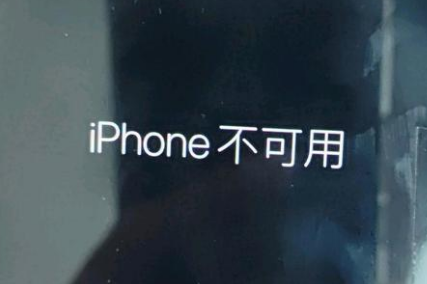 丹徒苹果服务网点分享锁屏界面显示“iPhone 不可用”如何解决 