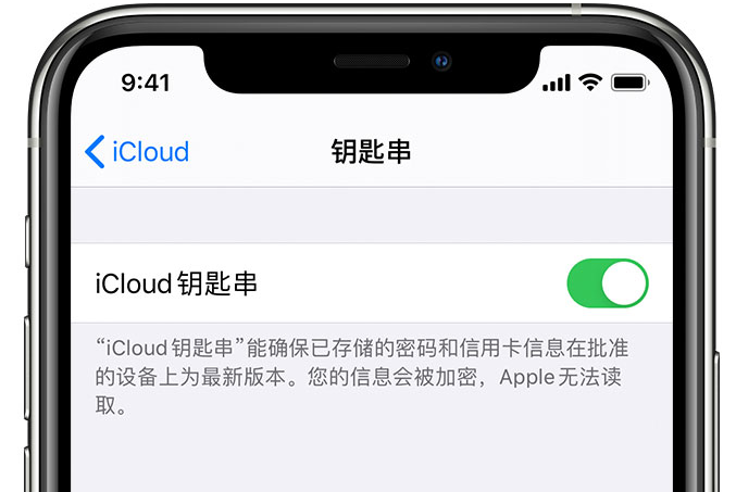 丹徒苹果手机维修分享在 iPhone 上开启 iCloud 钥匙串之后会储存哪些信息 