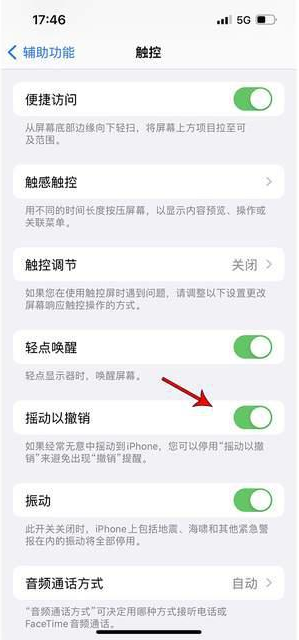 丹徒苹果手机维修分享iPhone手机如何设置摇一摇删除文字 